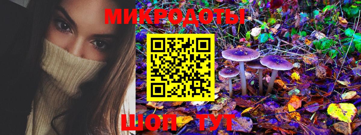 Новоалександровск  Псилоцибиновые грибы ЛСД  Вход с VPN 